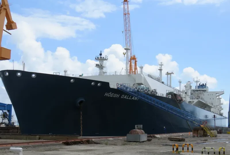 HOEGH GALLANT General Cargo IMO 9653678 photo 3