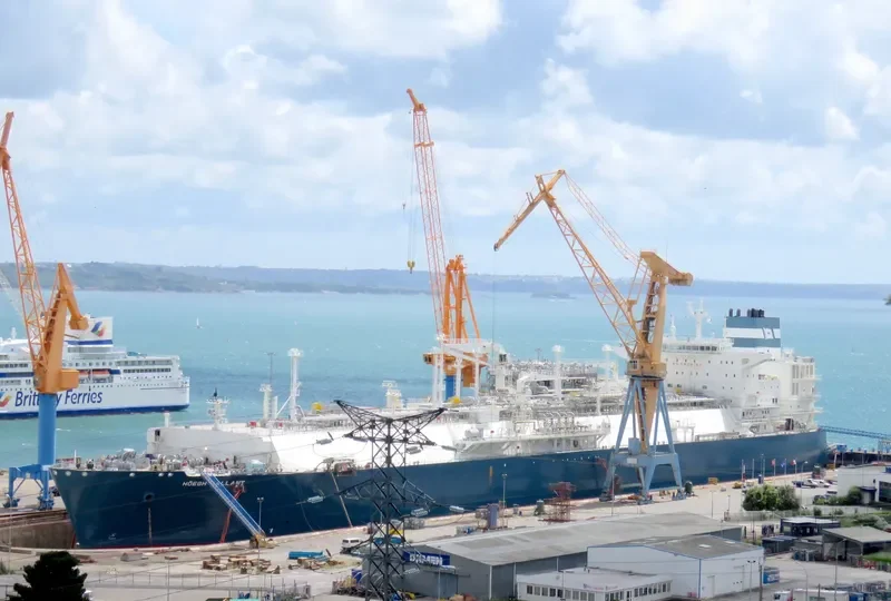 HOEGH GALLANT General Cargo IMO 9653678 photo 4