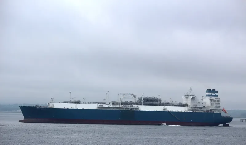 HOEGH GALLANT General Cargo IMO 9653678 photo 6
