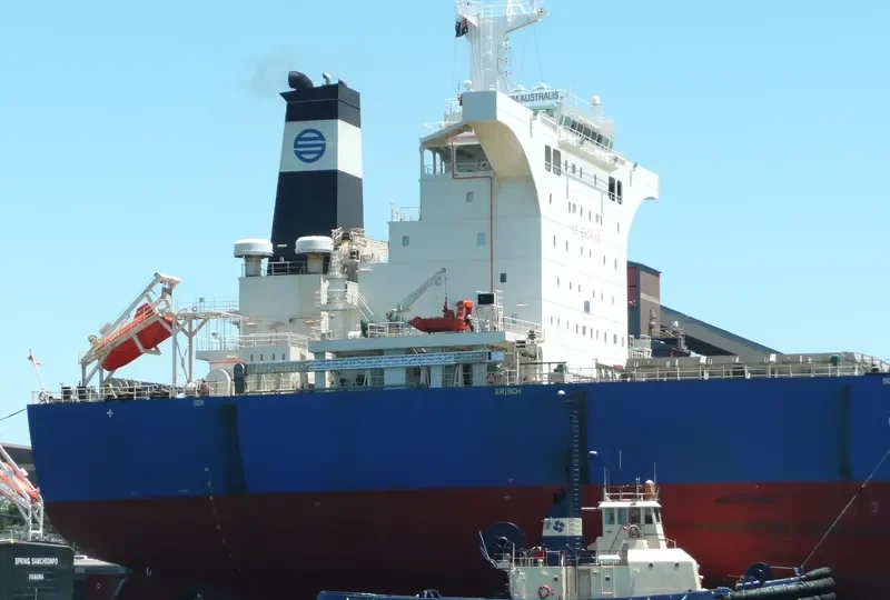 OFFICIUM AUSTRALIS Bulk Carrier IMO 9653836 photo 2