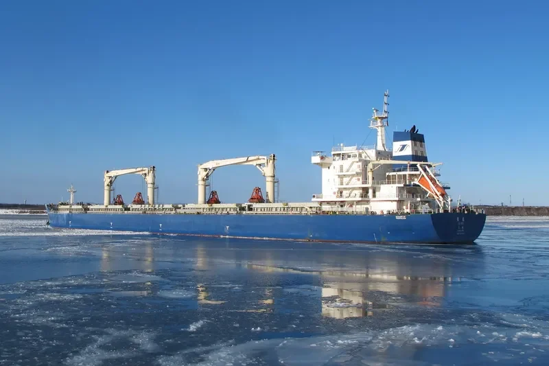 YIN RUI Bulk Carrier IMO 9654189