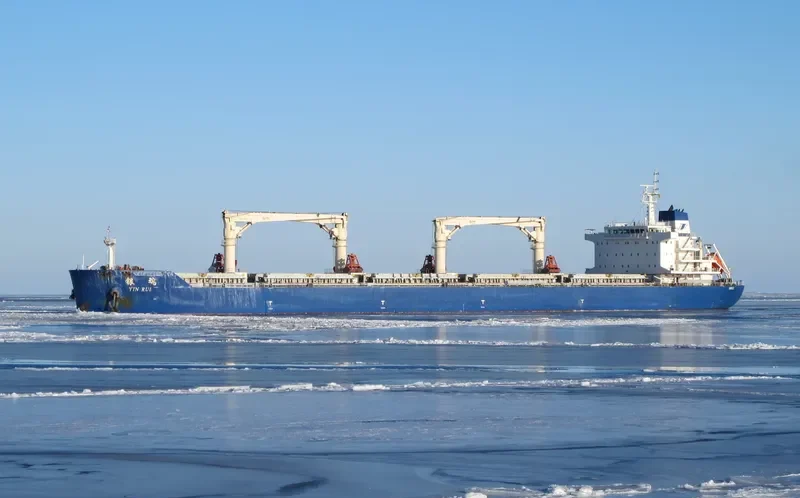 YIN RUI Bulk Carrier IMO 9654189 photo 2