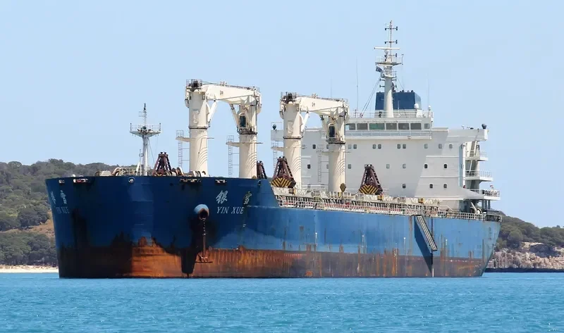 YIN XUE Bulk Carrier IMO 9654191