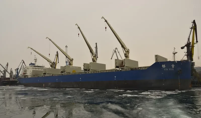 YIN XUE Bulk Carrier IMO 9654191 photo 5