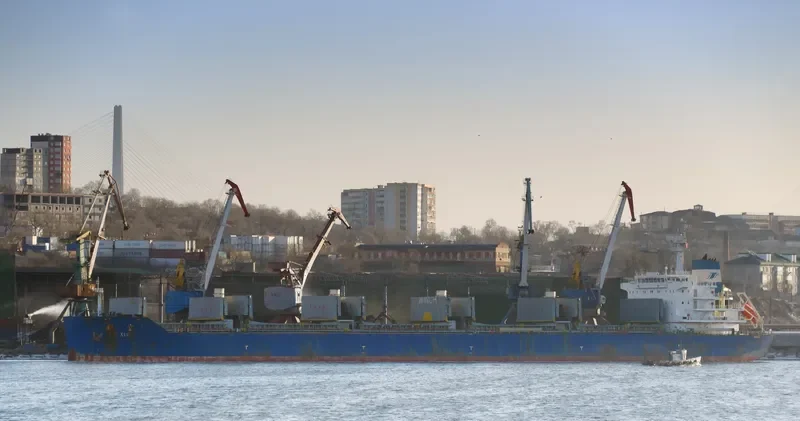 YIN XUE Bulk Carrier IMO 9654191 photo 7