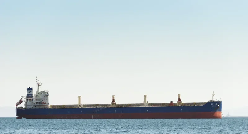 YIN HE Bulk Carrier IMO 9654206 photo 9