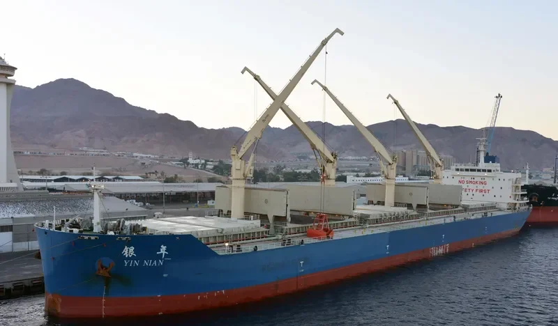 YIN NIAN Bulk Carrier IMO 9654218