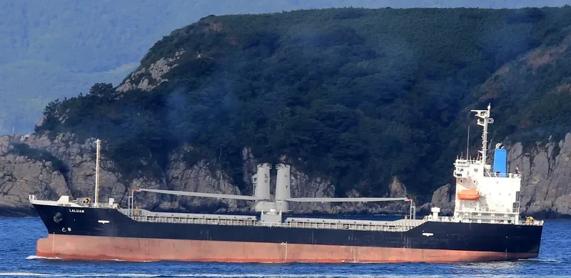 LALUAN General Cargo IMO 9654476