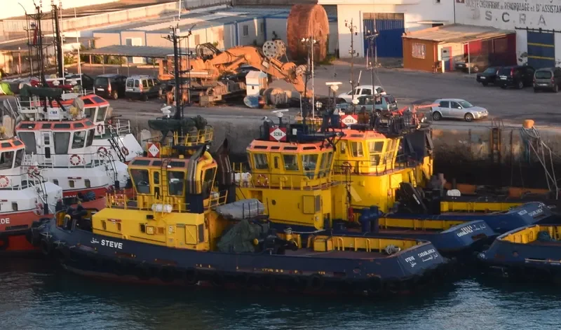 STEVE General Cargo IMO 9654658