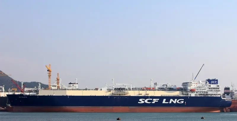 SCF MELAMPUS General Cargo IMO 9654878 photo 9
