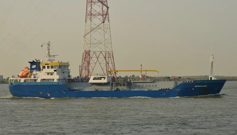 BAYAMO General Cargo IMO 9655004 photo 2
