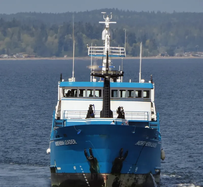 NORTHERN LEADER General Cargo IMO 9655092 photo 7
