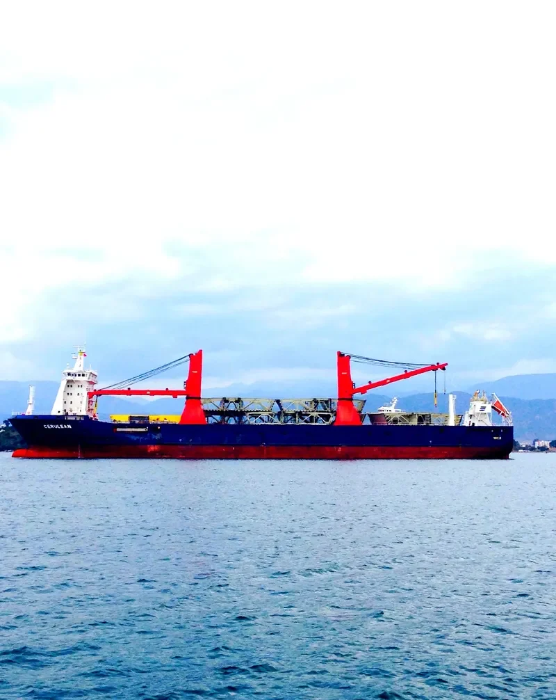 CERULEAN General Cargo IMO 9655169 photo 19
