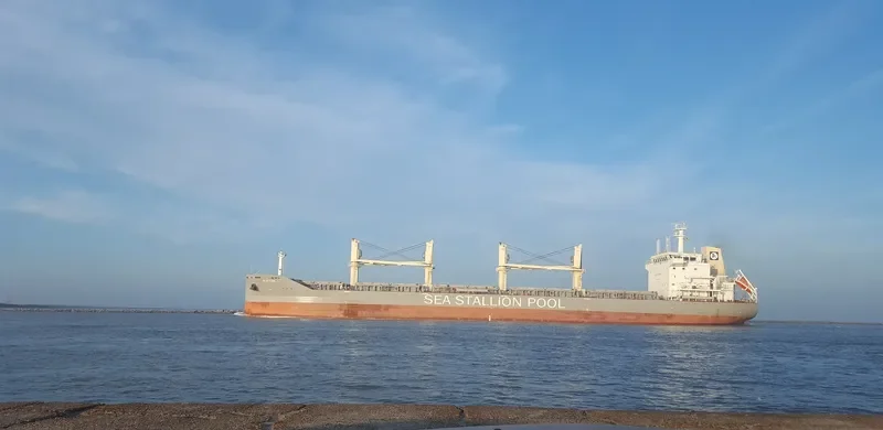 SSI RELIANCE Bulk Carrier IMO 9655224