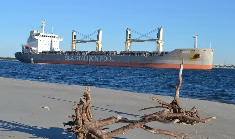 SSI RELIANCE Bulk Carrier IMO 9655224 photo 2