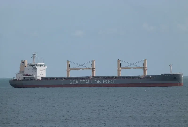 SSI RELIANCE Bulk Carrier IMO 9655224 photo 3