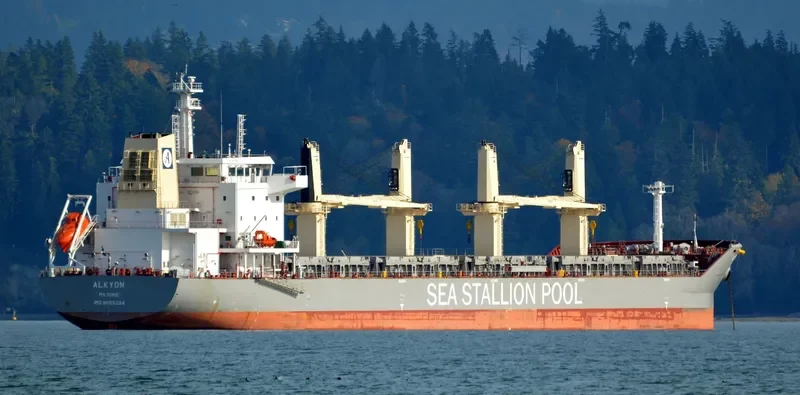 SSI RELIANCE Bulk Carrier IMO 9655224 photo 4