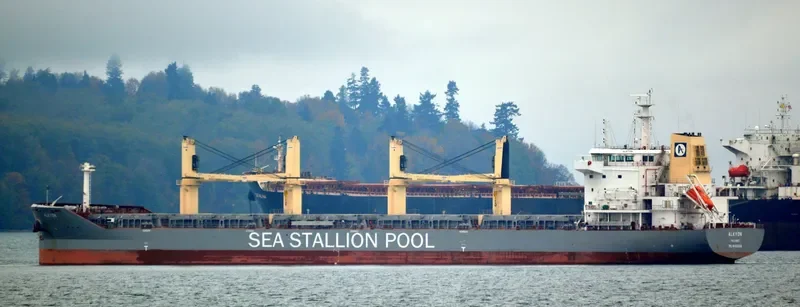 SSI RELIANCE Bulk Carrier IMO 9655224 photo 5