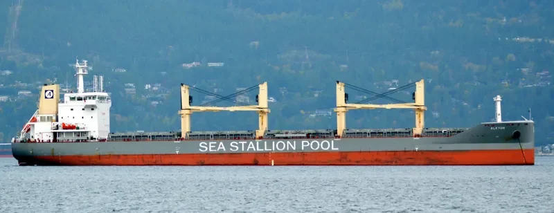SSI RELIANCE Bulk Carrier IMO 9655224 photo 6