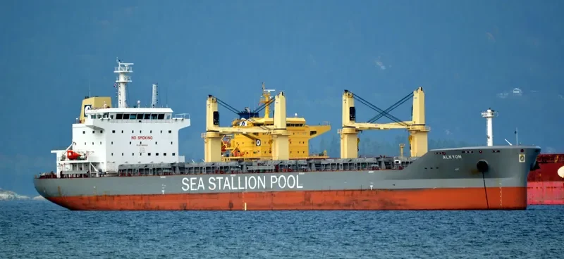 SSI RELIANCE Bulk Carrier IMO 9655224 photo 7