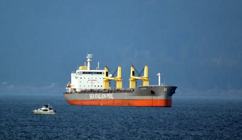 SSI RELIANCE Bulk Carrier IMO 9655224 photo 8
