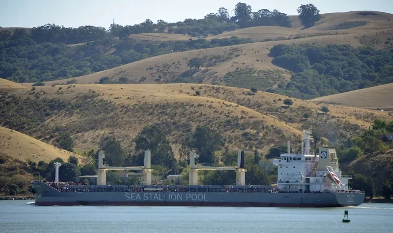 SSI RELIANCE Bulk Carrier IMO 9655224 photo 9