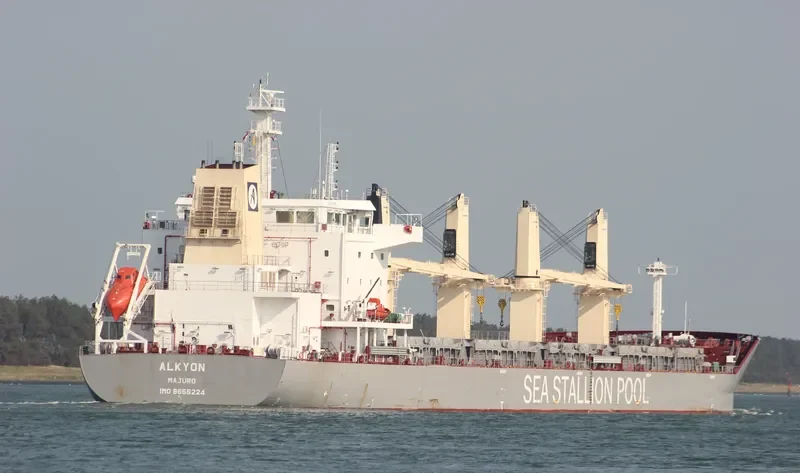 SSI RELIANCE Bulk Carrier IMO 9655224 photo 10