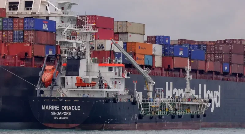 MARINE ORACLE General Cargo IMO 9655391 photo 4
