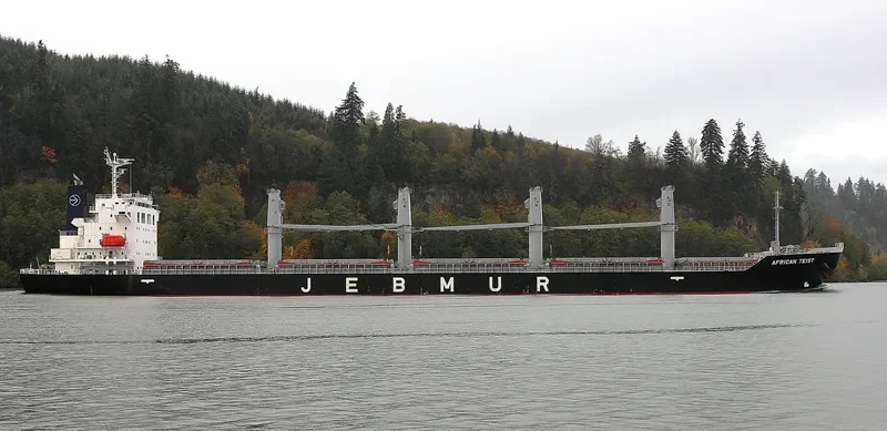 SEA FAITH Bulk Carrier IMO 9655420 photo 3