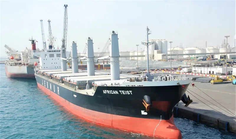 SEA FAITH Bulk Carrier IMO 9655420 photo 5