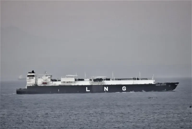 CLEAN HORIZON General Cargo IMO 9655444 photo 3