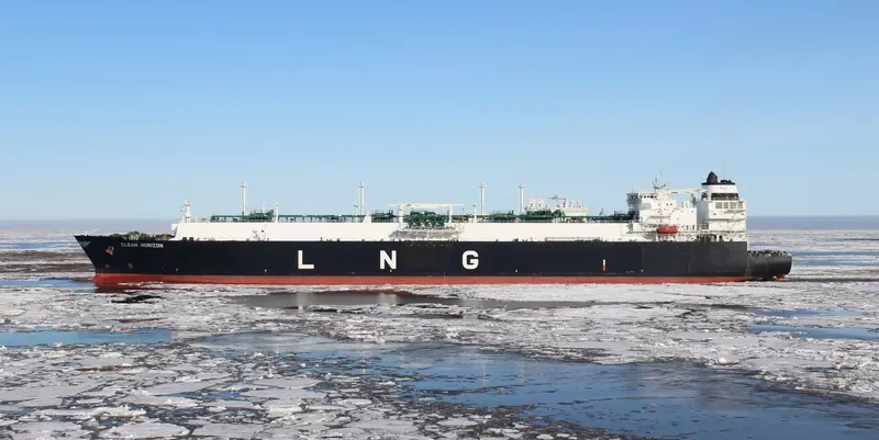 CLEAN HORIZON General Cargo IMO 9655444 photo 5