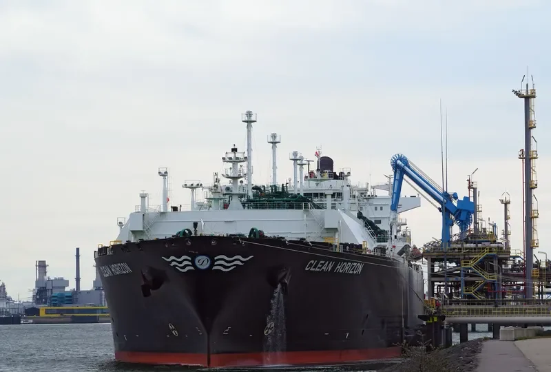 CLEAN HORIZON General Cargo IMO 9655444 photo 8