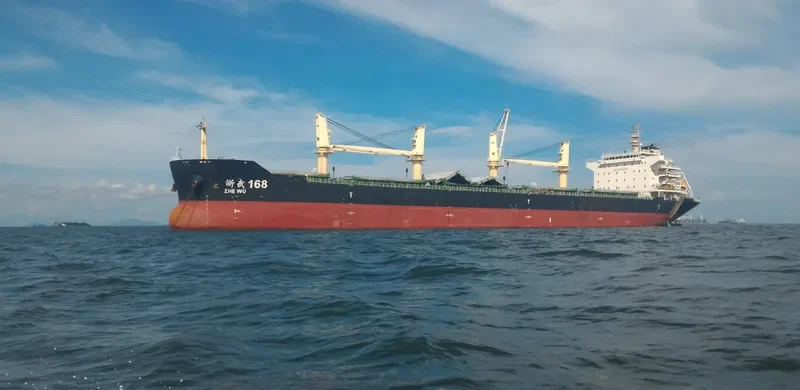 WU HUA ZHI XING Bulk Carrier IMO 9655767