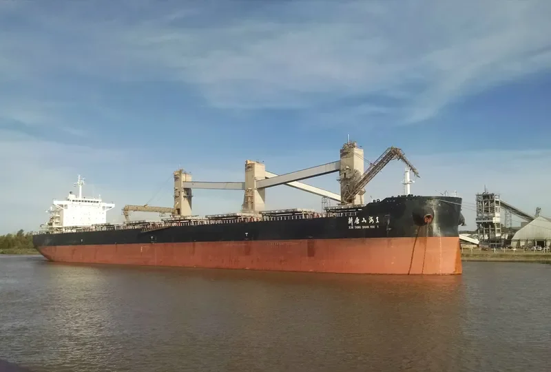 XIN TANG SHAN HAI 1 Bulk Carrier IMO 9655822