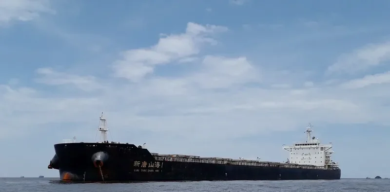 XIN TANG SHAN HAI 1 Bulk Carrier IMO 9655822 photo 3