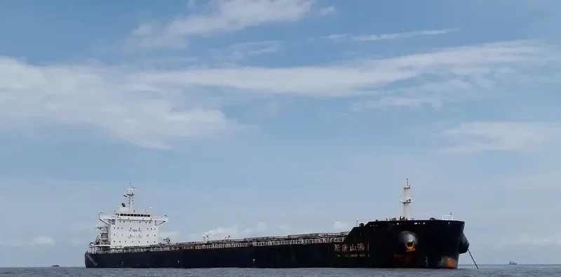 XIN TANG SHAN HAI 1 Bulk Carrier IMO 9655822 photo 4