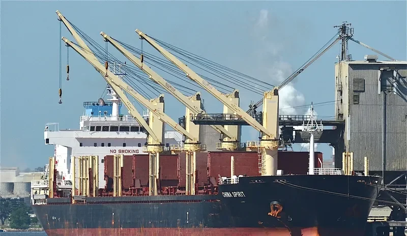 CHINA SPIRIT Bulk Carrier IMO 9655846