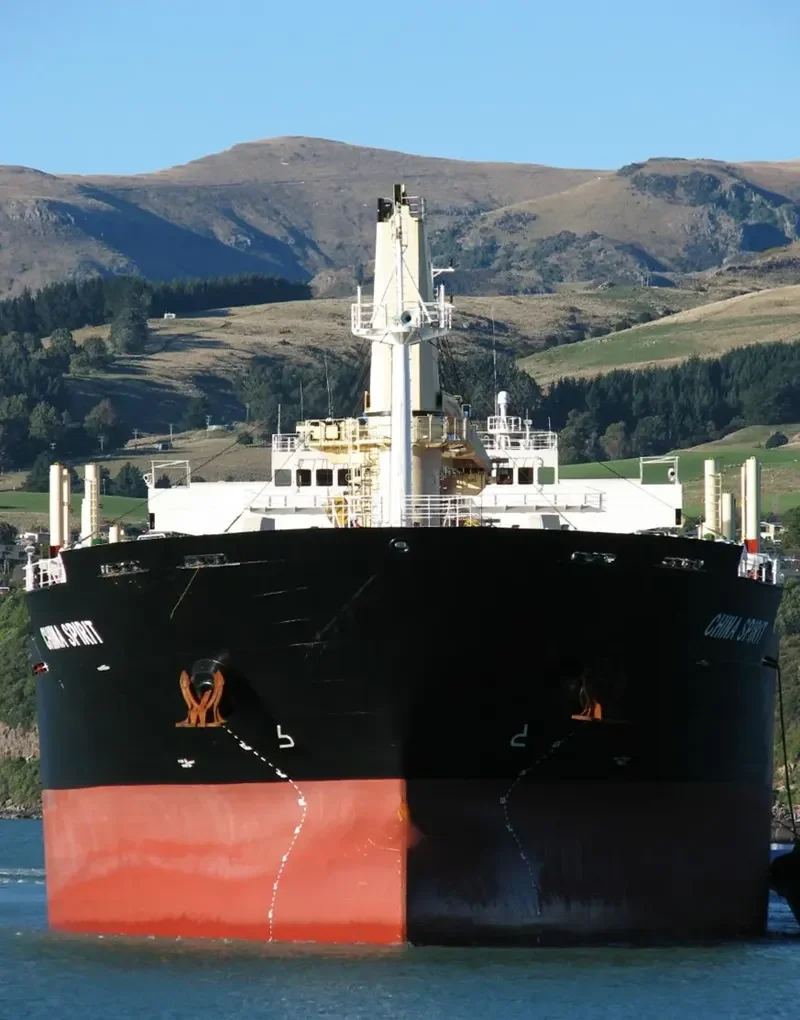 CHINA SPIRIT Bulk Carrier IMO 9655846 photo 2