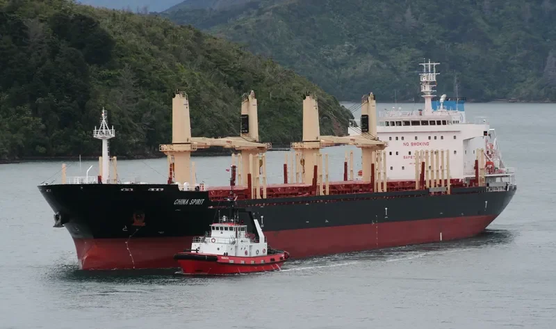 CHINA SPIRIT Bulk Carrier IMO 9655846 photo 3