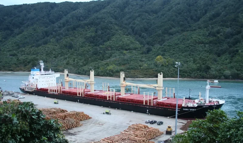 CHINA SPIRIT Bulk Carrier IMO 9655846 photo 4