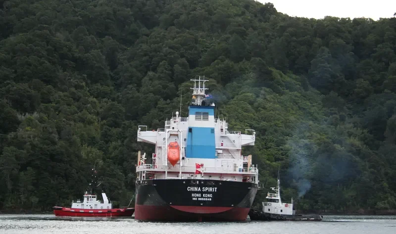 CHINA SPIRIT Bulk Carrier IMO 9655846 photo 5