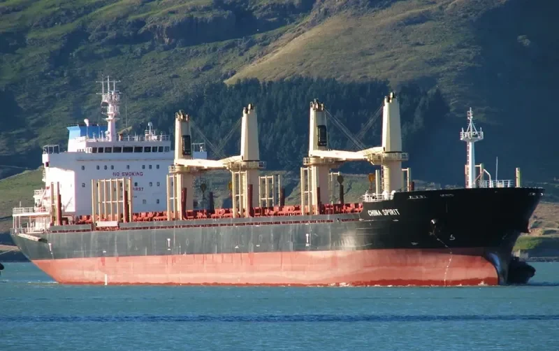CHINA SPIRIT Bulk Carrier IMO 9655846 photo 7