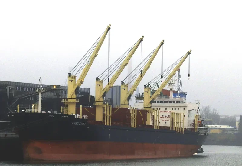 CHINA SPIRIT Bulk Carrier IMO 9655846 photo 8