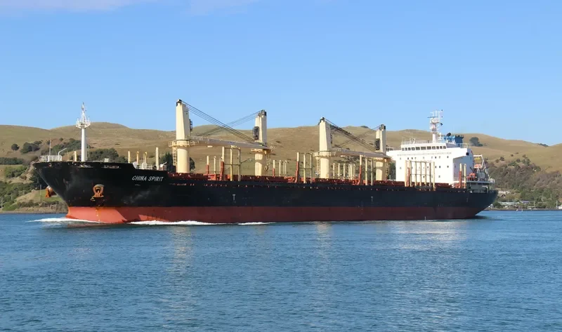 CHINA SPIRIT Bulk Carrier IMO 9655846 photo 9