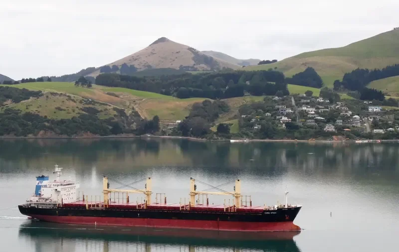 CHINA SPIRIT Bulk Carrier IMO 9655846 photo 10