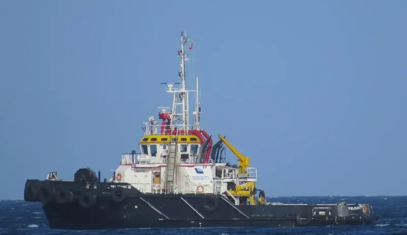 PELICANO II General Cargo IMO 9655860 photo 2