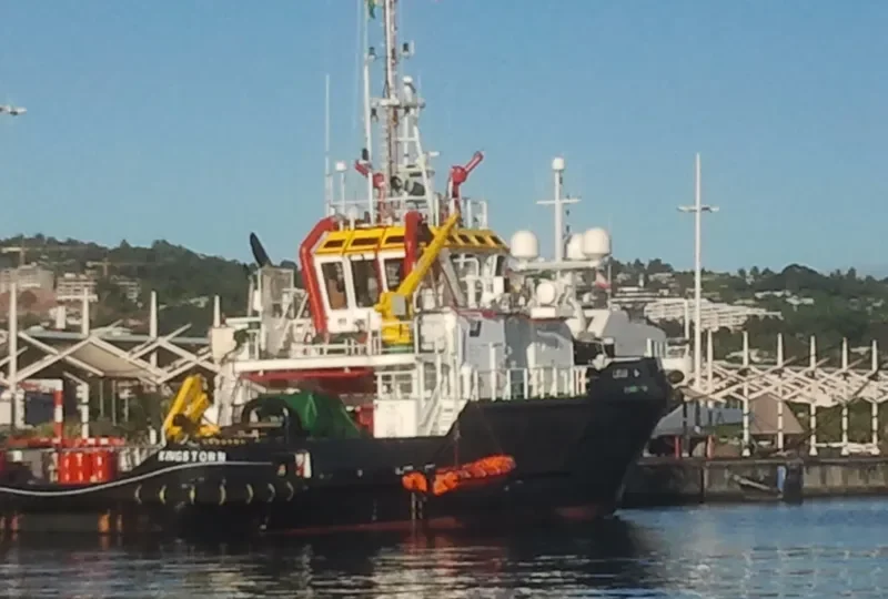 PELICANO II General Cargo IMO 9655860 photo 4