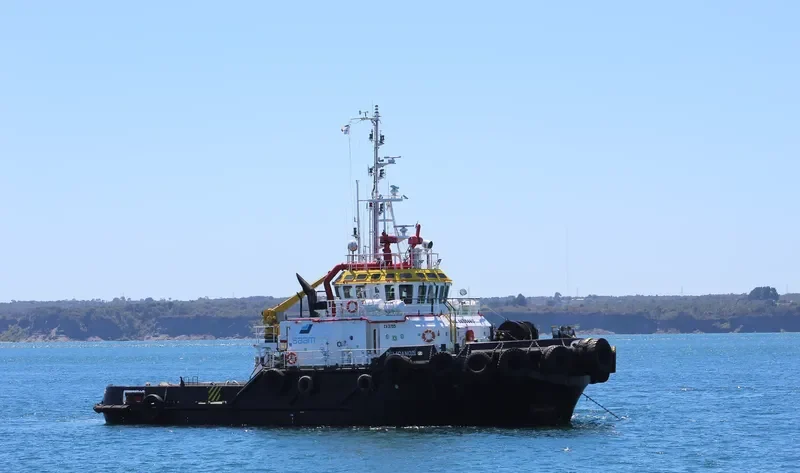 PELICANO II General Cargo IMO 9655860 photo 7