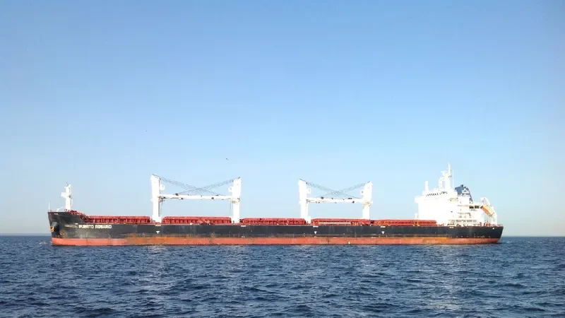 PUERTO ROSARIO Bulk Carrier IMO 9656084